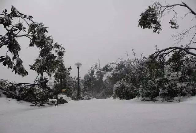 带你回顾2008年的耒阳冰灾,重启11年前的冰封记忆