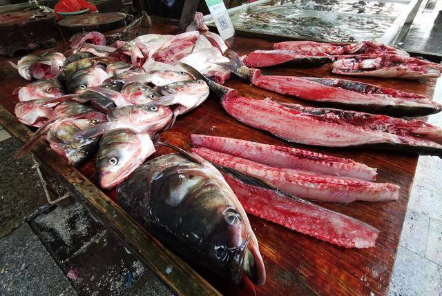 这个鱼是鲟鱼吧,应该是淡水鱼吧,也要30元一斤.