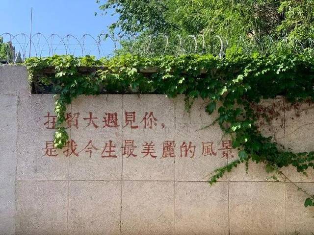 对外经济贸易大学贸大不过是一个211总不至于比985还难吧