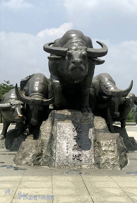 广西边境(三) 崇左花山岩画,博物馆,九牛爬坡