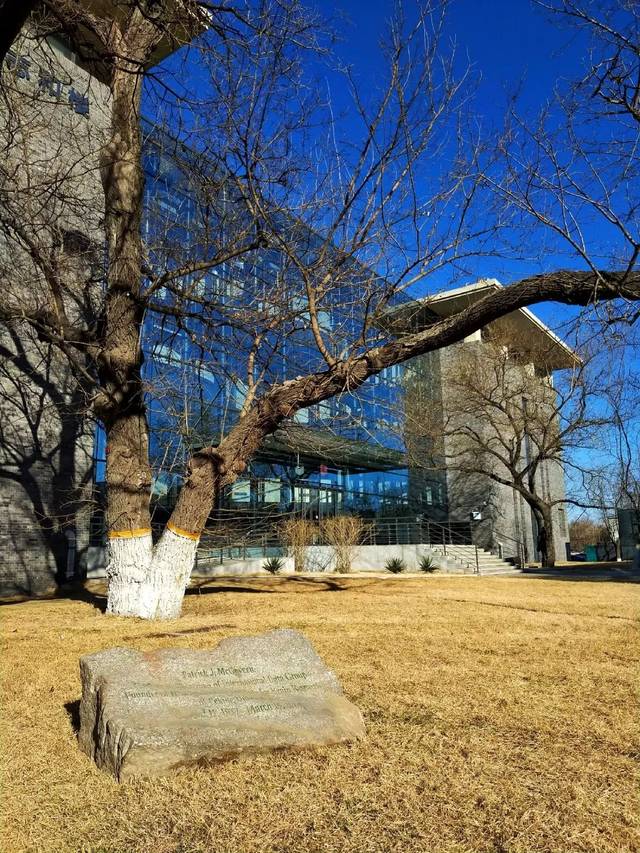 快来北京大学idg麦戈文脑科学研究所诚聘海内外英才