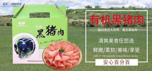 解读黑猪养殖行业的现状与前景