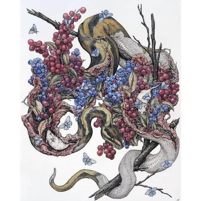 【插画】有点血腥,但真的好看!画师超帅!