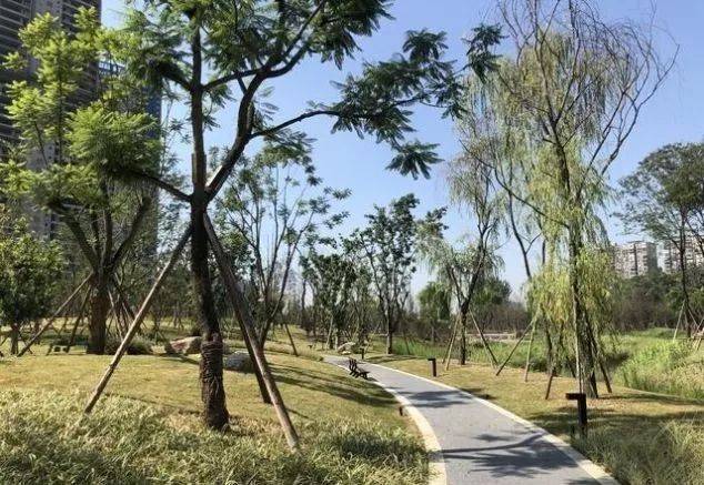 公園綠地 | 成都沙河源公園景觀設計將儲木場昇華為木文化主題城市