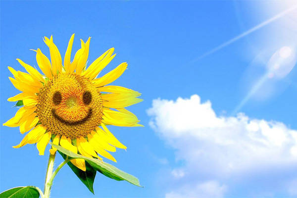 迎接阳光 在线工具网之抑郁症测试