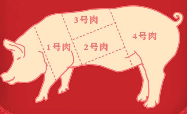 猪肉几号肉图解图片