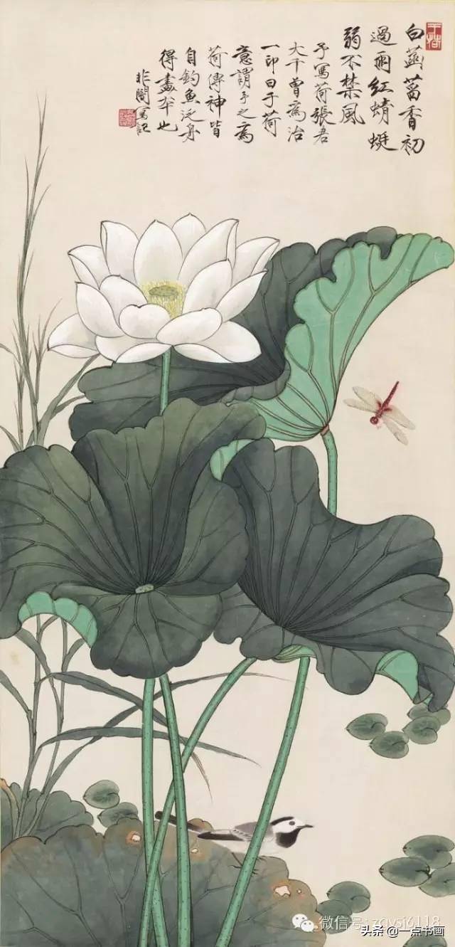 大师于非闇的工笔荷花，绝美_搜狐网