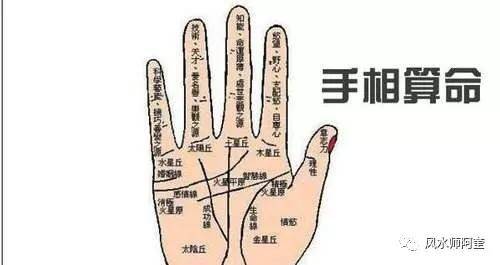 手相大全：富贵手相图解！_搜狐网