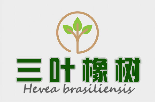三叶橡胶树原产于南美洲巴西亚周逊河盆地的热带雨林.