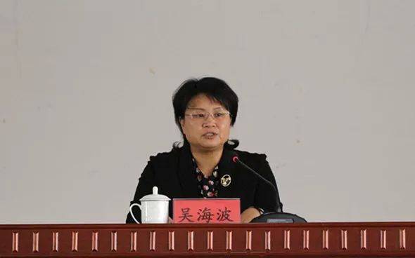 镇党委书记吴海波同志上党课