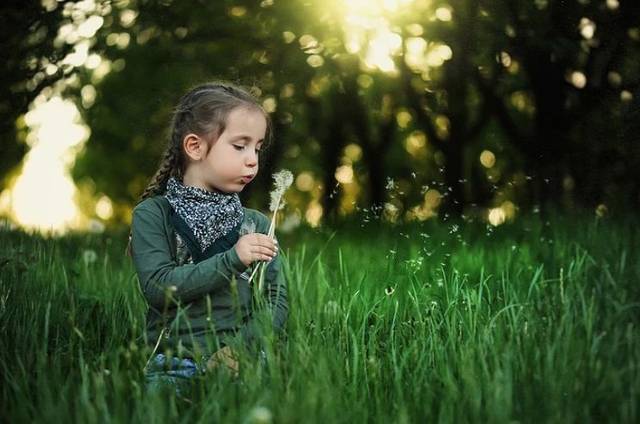 台湾4岁神童为大人指点人生,引发巨大争议:愿