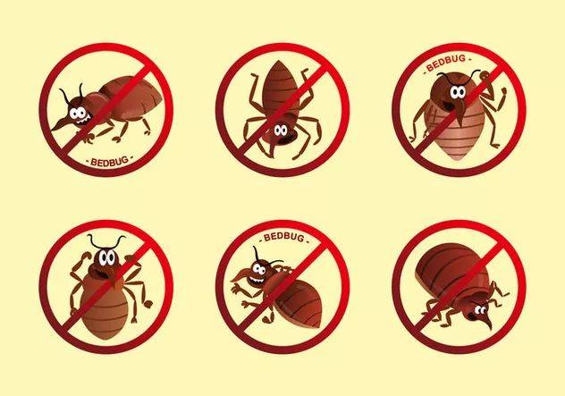 新生必读这种恐怖的小虫不得不防一级重灾区费城终于提出法案