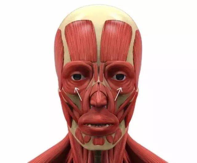 杨紫又双叒叕整了?鼻基底假体厚到合不上嘴!变