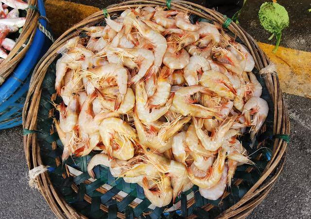 雷州惠来体验:自驾游走了十几个省,感触最深是广东人豁达与开放