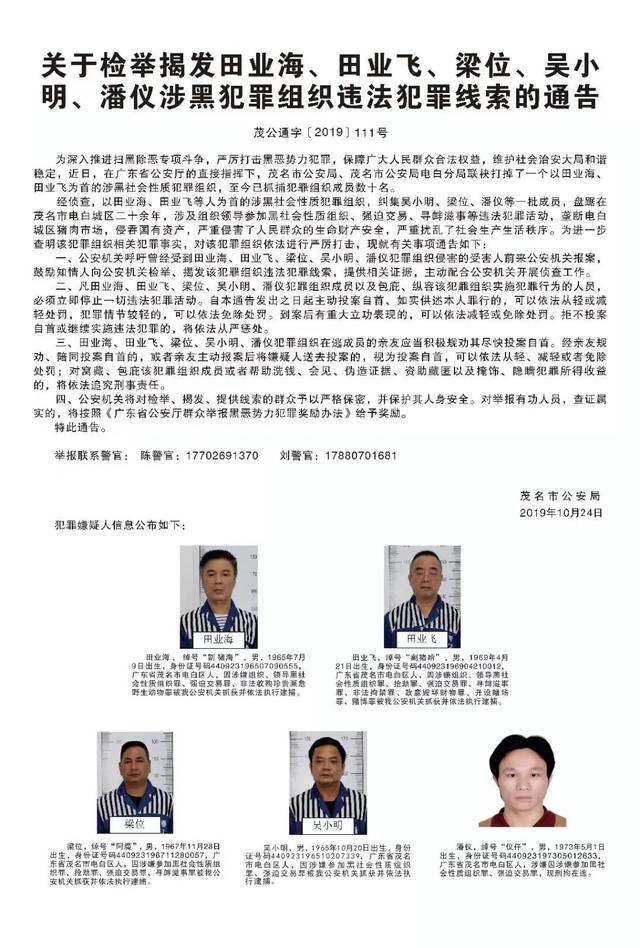 关于检举揭发田业海,田业飞,梁位,吴小 明,潘仪涉黑犯罪组织违法犯罪