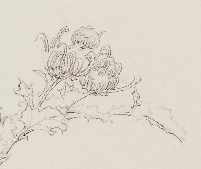 《翠影离披图 》局部二 雪菊向隅图  绢本墨色 30.