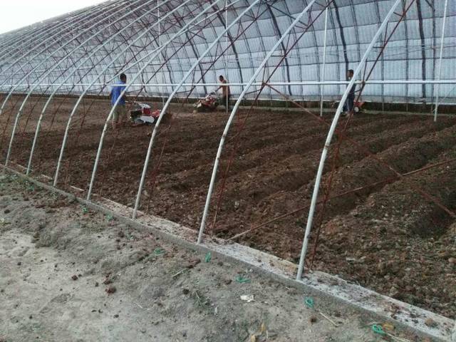 大棚内小型起垄机可微耕起垄老百姓放心买