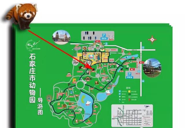 动物园的大熊猫们搬家了,那之前的熊猫馆谁住进来了?