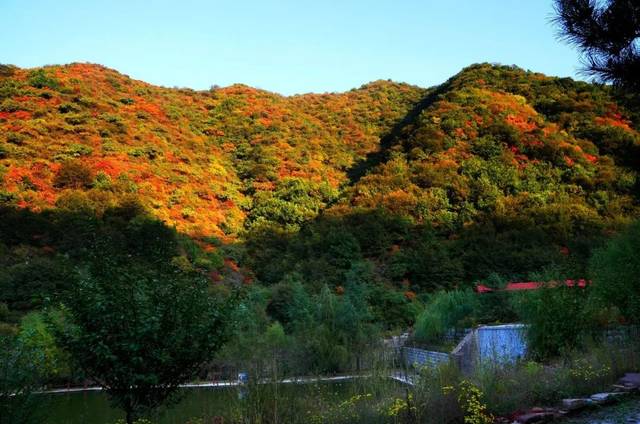 旧街乡龙泉沟生态园区,义井镇龙海山风景区,大阳泉古镇等,正在引起