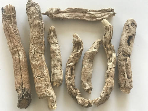 傣百解在傣药中是以根入药,按照傣医药"四塔五蕴"