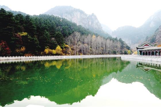 左权龙泉国家森林公园图片