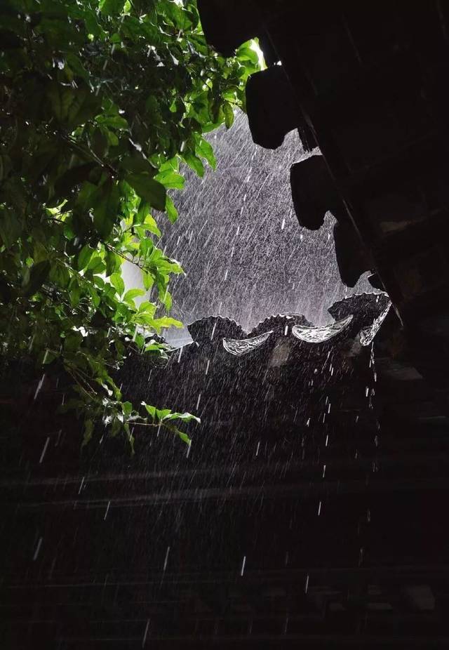 隔窗听夜雨图片