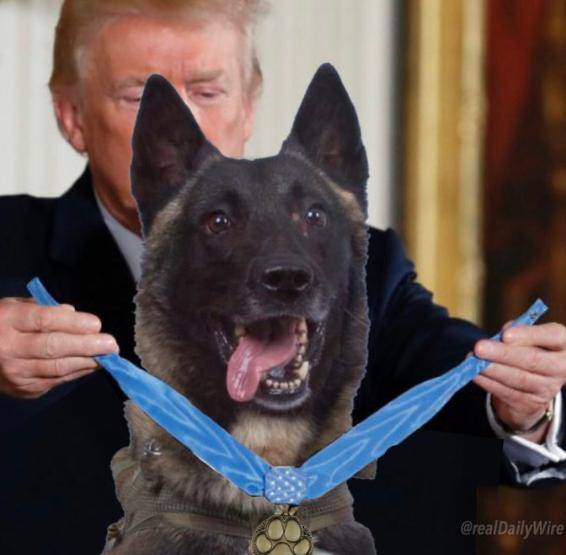特朗普给军犬发勋章?原来是把"人头"换成"狗头"了.