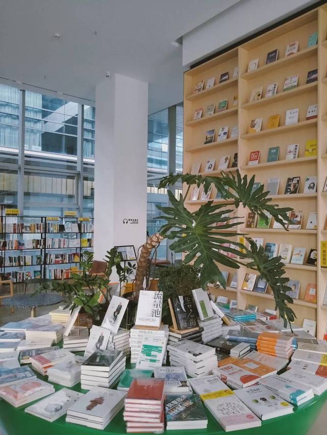 合肥樊登书店,适合一个人读书画画发发呆的好地方