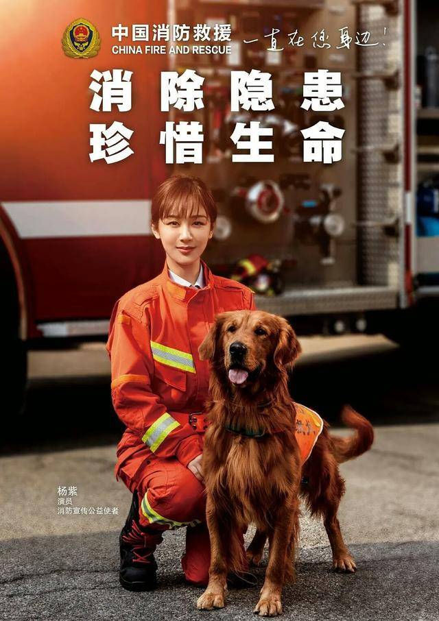 杨紫又有新的身份了,成中国消防代言人宣传:用火防火不失火