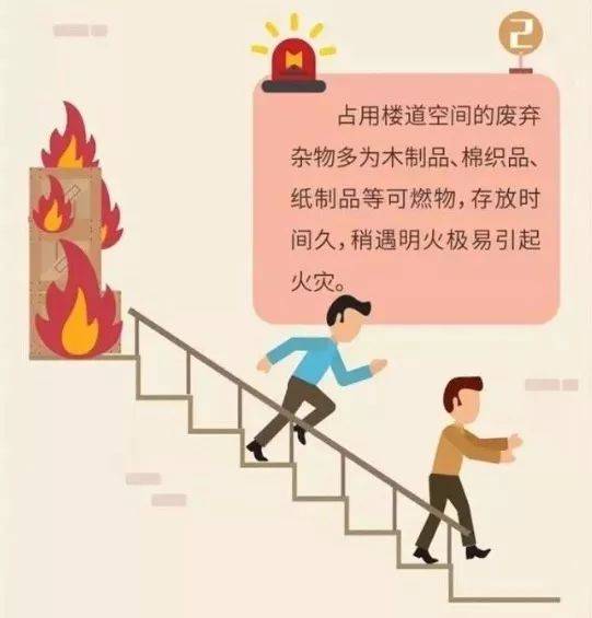棉花的多样性——揭秘不同种类棉质面料背后的秘密