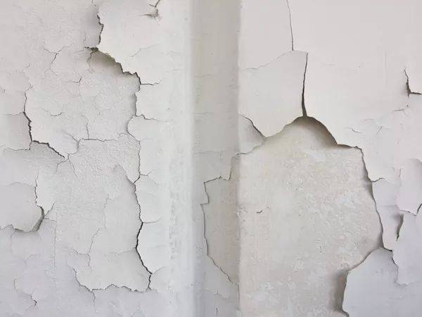 家装选择腻子,选n就对了|六哥说装修079