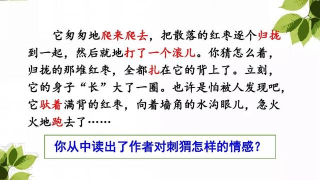 部编版三年级上册第23课《带刺的朋友》图文讲解