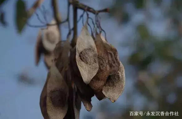 5f8e8d56f4364be6bdfeed46d557bb