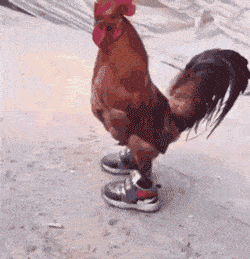 爆笑gif图:美女,你这是在秀腰吗?看给边上这两位眼气的_手机搜狐网