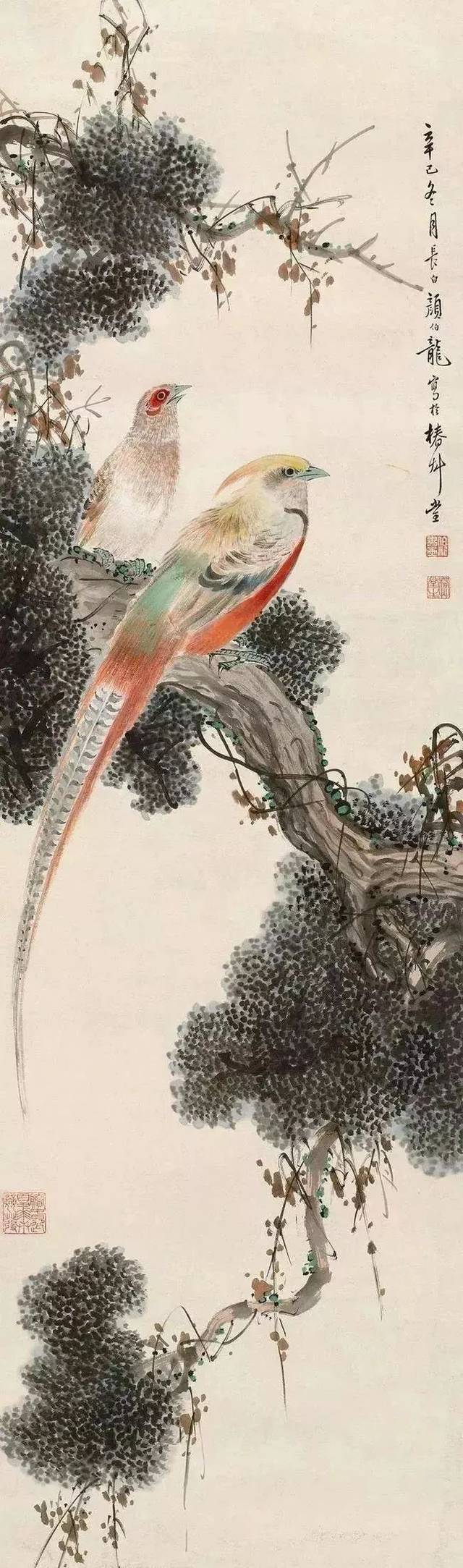 颜伯龙 花鳥圖 颜伯龙——颜氏“兼工代写”花鸟100幅_搜狐网