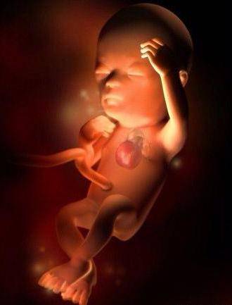 孕13周女宝生殖图图片