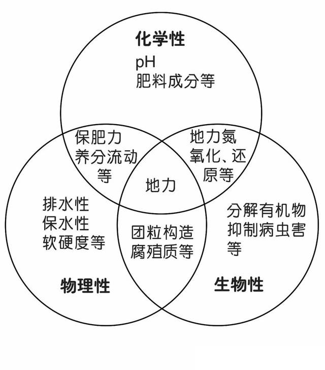 土壤基础知识讲解（9）_手机搜狐网