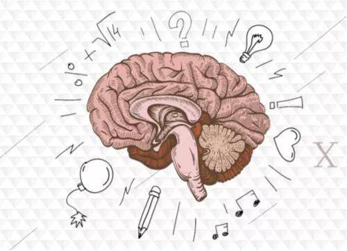 东西记不住,联想记忆法——最强大脑的记忆秘诀!