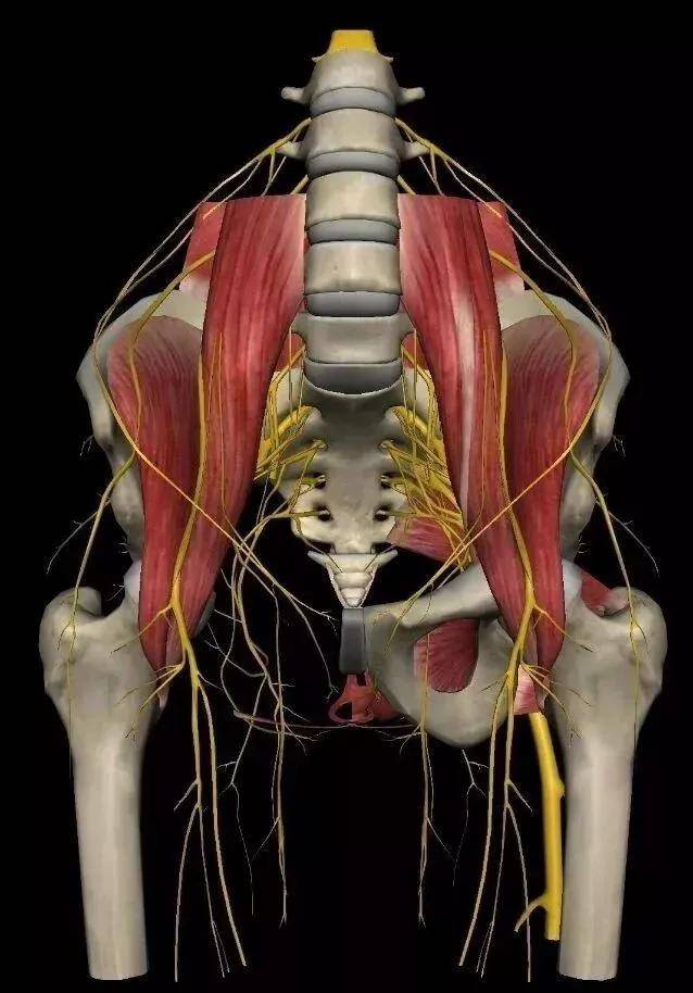骶髂关节正骨手法