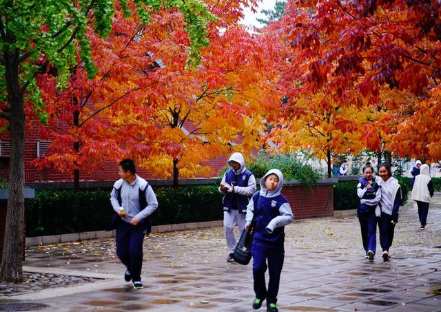 大自然的色彩最为丰富,十一校园内也是树木繁荣,色彩斑斓;秋天是充实