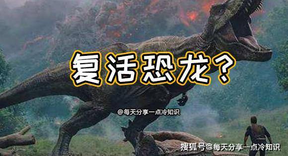 东煤网
