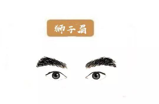 发大财的男人眉相