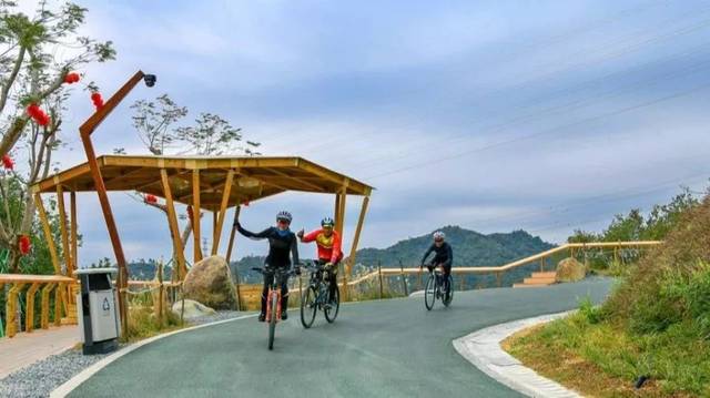 深圳"最美绿道"-龙华区环城绿道羊台山段,美到不敢直视!