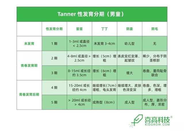 第二性征 对照表图片