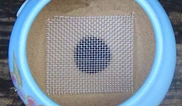 花盆底部排水孔处很适合垫上这几种东西 盆土不会积水 不怕烂根 花盆底部垫什么不漏土排水好