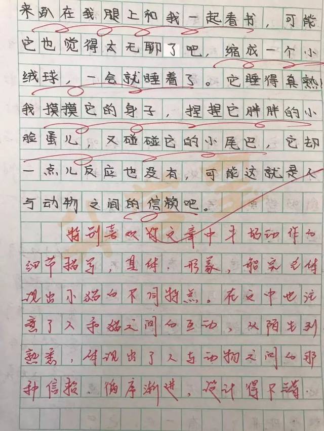 作文里有的人说她脾气火爆,她便承诺以后慢慢改;有的学生发现她每天