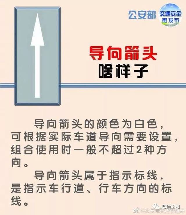 一路平安丨路面上画的各种箭头代表啥 手机搜狐网