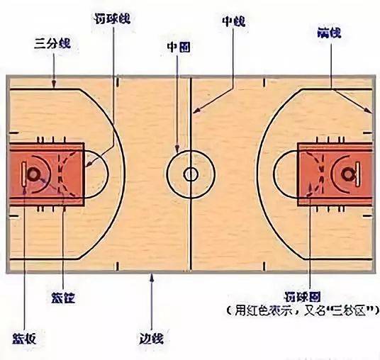 篮球位置的分工图图片