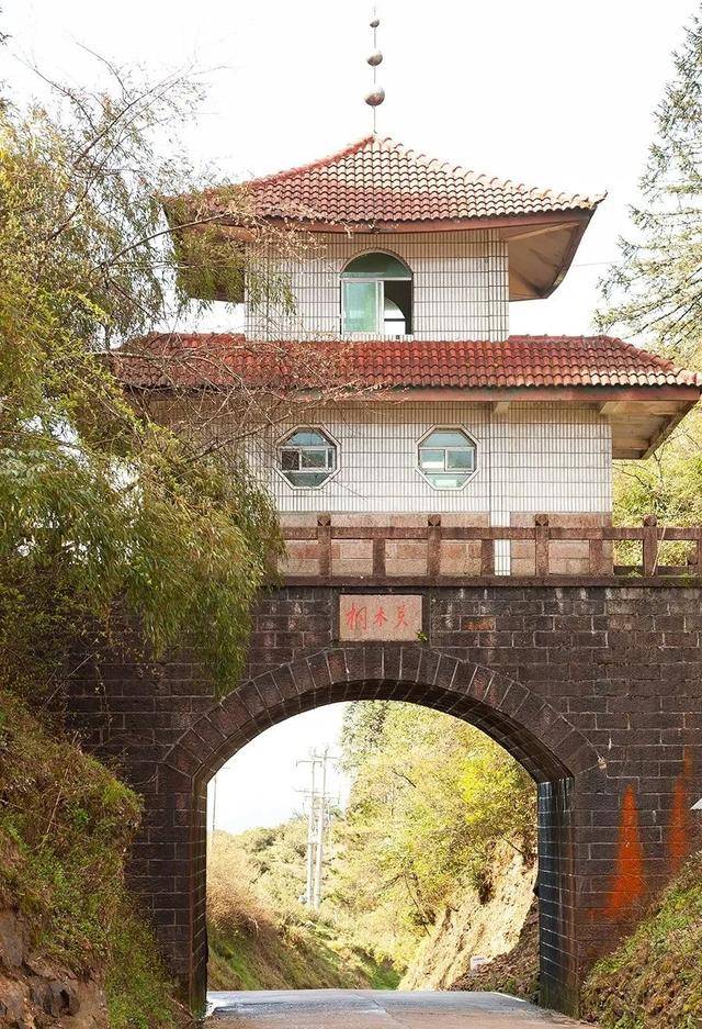 世界红茶发源地,金骏眉从这里诞生桐木,武夷山市星村镇的一个山村