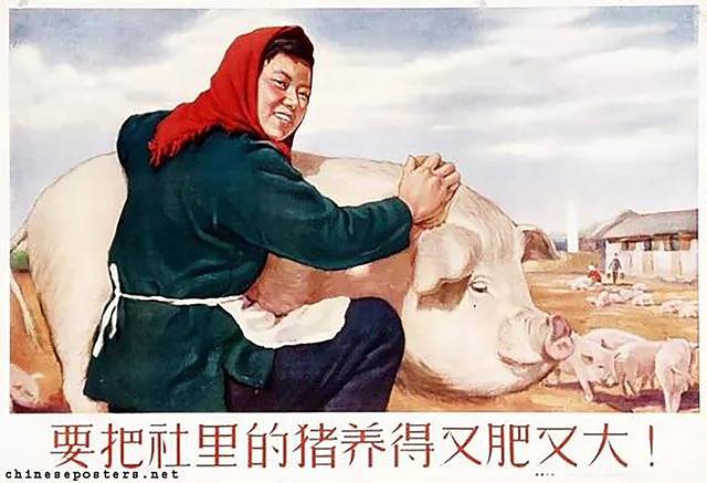 农村合作社优惠补贴政策有哪些？含补贴类与优惠类政策